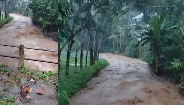 Landfall: പത്തനംതിട്ടയിലെ വനമേഖലയിൽ കനത്ത മഴ; ഉരുൾപൊട്ടലെന്ന് സംശയം