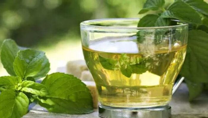 Green Tea: ശ്രദ്ധിക്കുക..! ഇങ്ങനെ കുടിച്ചാൽ ​ഗ്രീൻ ടീയും വിഷം