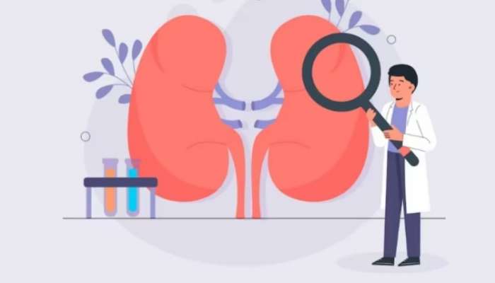 Kidney Cancer: വൃക്കകളിലെ കാൻസർ സൂക്ഷിക്കണം; അറിയാതെ പോകുന്ന ലക്ഷണങ്ങൾ ഇവയാണ്