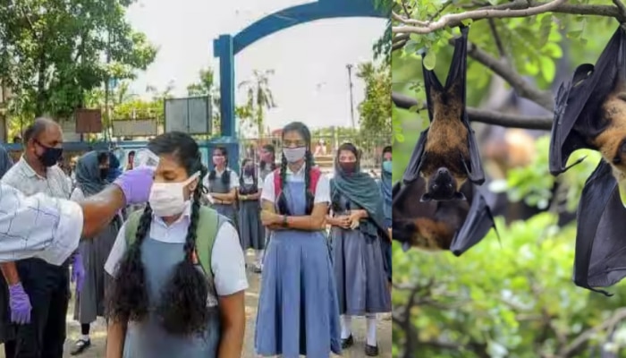 Nipah: നിപ്പ: കോഴിക്കോട് ജില്ലയിൽ വിദ്യാഭ്യാസ സ്ഥാപനങ്ങൾക്ക് ഒരാഴ്ച്ച കൂടെ അവധി, ആദ്യം മരിച്ചയാള്‍ക്കും രോഗം സ്ഥിരീകരിച്ചു