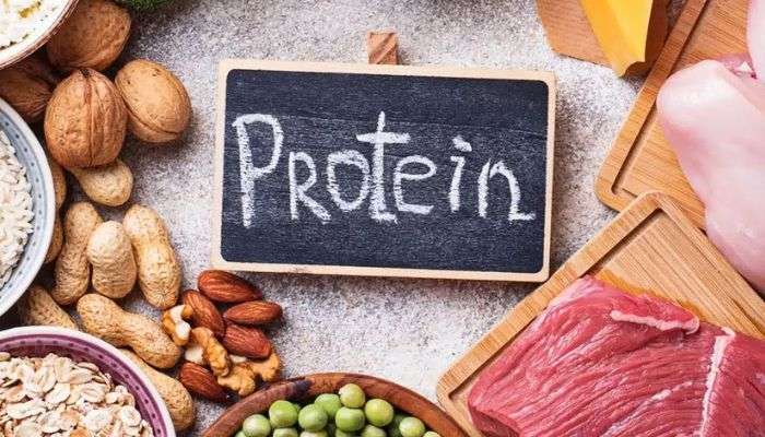 Protein Importance: പൊണ്ണത്തടി മുതല്‍ വാർദ്ധക്യത്തിന്‍റെ ലക്ഷണങ്ങള്‍ വരെ കുറയ്ക്കും പ്രോട്ടീൻ!! എന്നാല്‍ അമിതമായാല്‍... 