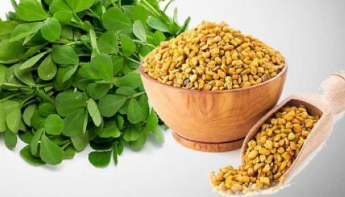 Fenugreek Leaves: കൊളസ്ട്രോൾ മുതൽ ഹൃദയാരോ​ഗ്യം വരെ..! ഉലുവ ഇലയുടെ ഔഷധ ​ഗുണങ്ങൾ