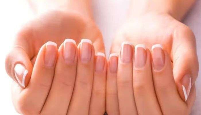 Nail Shape: ഇവര്‍ ജീവിതത്തിലുടനീളം അസ്വസ്ഥരായിരിയ്ക്കും, നഖങ്ങള്‍ വെളിപ്പെടുത്തും രഹസ്യങ്ങള്‍ 