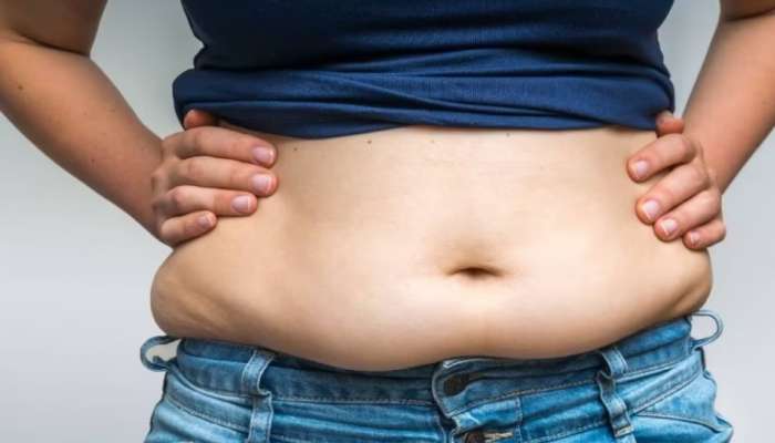 Belly fat: കുടവയർ കുറയ്ക്കണോ? ഈ നാല് ഭക്ഷണങ്ങൾ ശീലമാക്കൂ