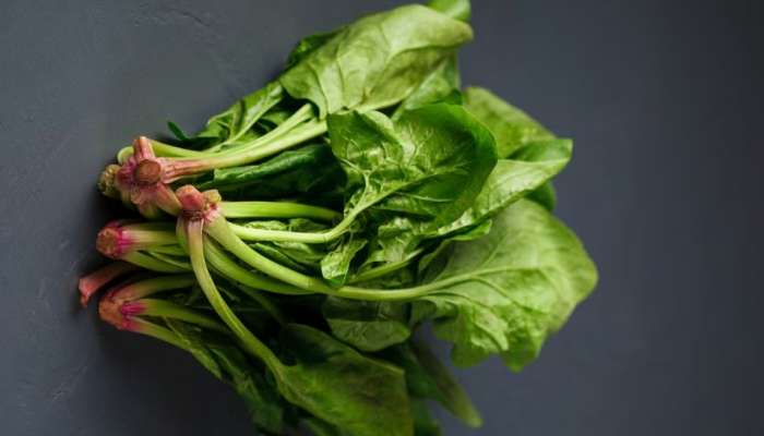 Spinach Benefits: മുടിയുടെ വളർച്ചയ്ക്ക് ചീര എണ്ണ? ചീര മാസ്ക്- ഗുണങ്ങൾ ഒരു കുട്ട