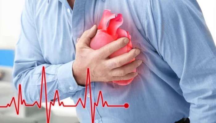 World Heart Day: ഹൃദയാഘാതവും ഹൃദയസ്തംഭനവും തമ്മിലുള്ള വ്യത്യാസം എന്ത്? ഹൃദയം അപകടത്തിലാണെന്നതിന്റെ മുന്നറിയിപ്പ് അടയാളങ്ങൾ ഇവ