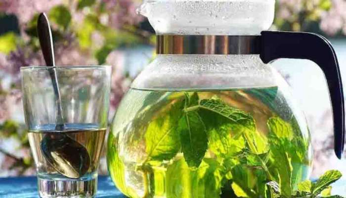 Mint Tea : പുതിനയിട്ട ചായ ദിവസം രാവിലെ കുടിക്കൂ; ഗുണങ്ങൾ ഏറെയാണ്