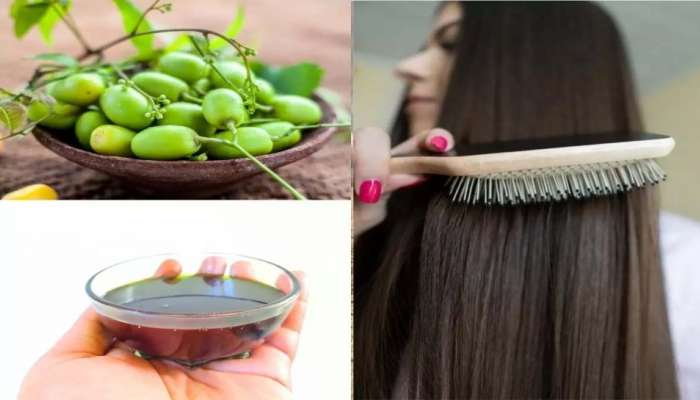 Neem for Hairfall: മുടി കൊഴിച്ചിലിന് അത്യുത്തമം, ആര്യവേപ്പ് ഈ വിധത്തില്‍ ഉപയോഗിച്ചു നോക്കൂ 