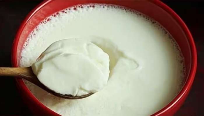 Curd:  തൈര് ഒരു ശീലമാക്കൂ...! ആരോഗ്യ ഗുണങ്ങൾ നിരവധി