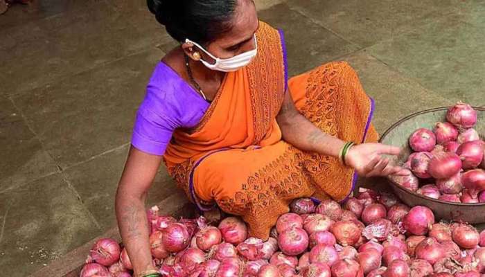 Onion Price Hike: ഉത്സവകാലം എത്തിയതോടെ ഉള്ളി, സവാള വില കുതിയ്ക്കുന്നു