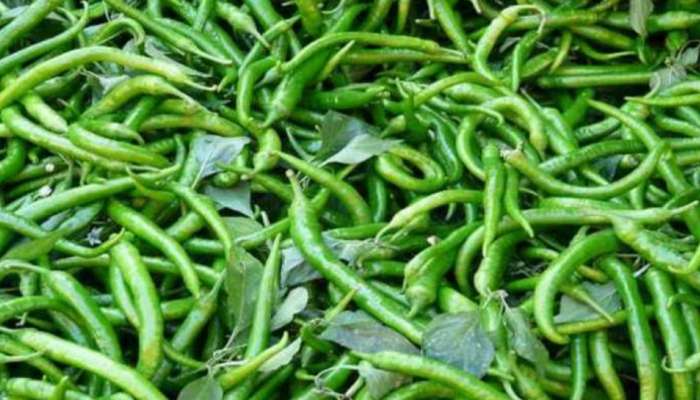 Green Chilli: എരിവ് അല്പം കൂടിയാലെന്താ... പച്ചമുളകിന്റെ ഗുണങ്ങൾ വേറെ ലെവലാണ്