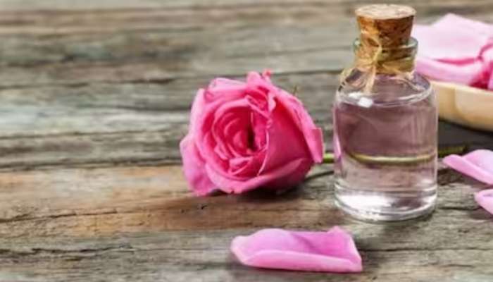 Rose water: നിരവധി പ്രശ്നങ്ങൾക്ക് ഒരേയൊരു പരിഹാരം..! അതാണ് റോസ് വാട്ടർ