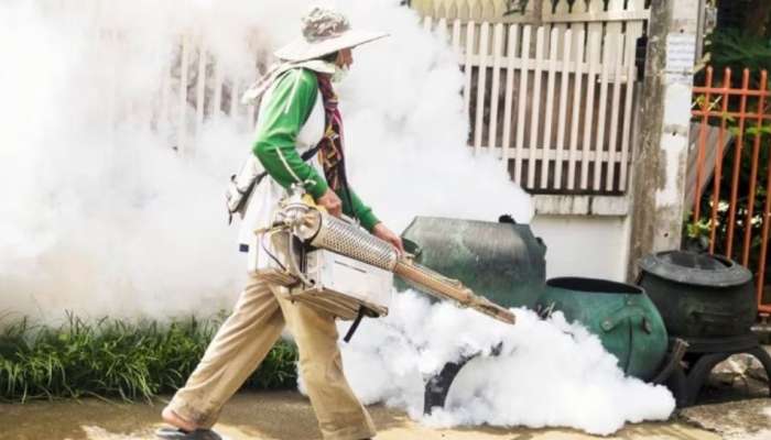 Zika Virus: സിക വൈറസ് പകരുന്നതെങ്ങനെ? പ്രതിരോധം, ചികിത്സ, മുൻകരുതലുകൾ എന്നിവ അറിയാം