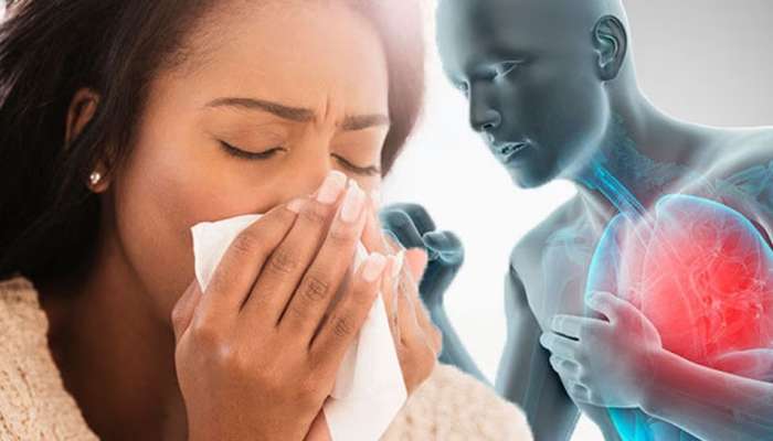 Cold And Cough: ചുമയും ജലദോഷവും പതിവാണോ? എങ്കില്‍ ഈ വീട്ടുവൈദ്യം ആശ്വാസം നൽകും! 
