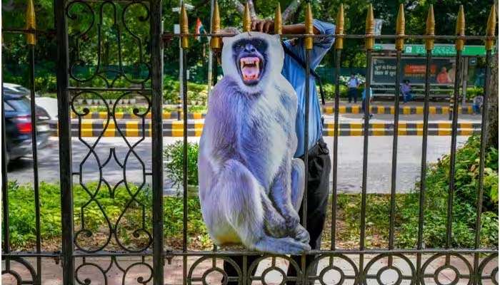 Monkey Attack: കുരങ്ങിന്‍റെ ആക്രമണത്തില്‍ 10 വയസുകാരന്‍ കൊല്ലപ്പെട്ടു 