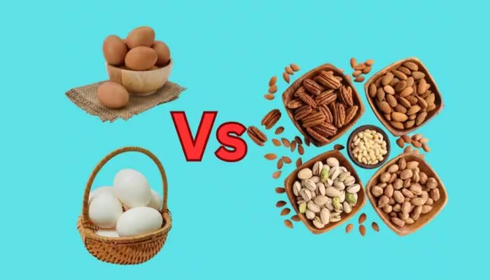 Egg vs Nuts: മുട്ടയോ നട്ട്സോ.. ഏതാണ് മികച്ചതെന്നറിയണോ? 