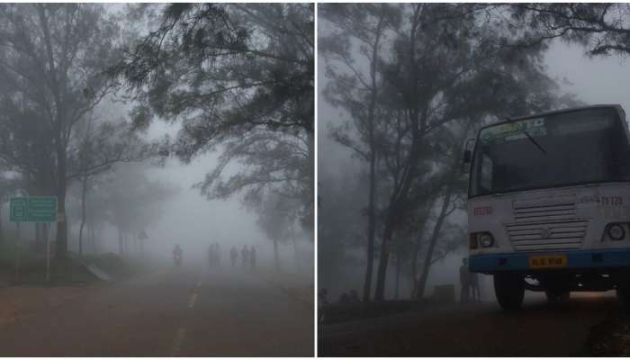 Ponmudi: കനത്ത മഴയ്ക്ക് ശമനം; പൊന്മുടിയടക്കമുള്ള വിനോദസഞ്ചാര കേന്ദ്രങ്ങൾ തുറക്കാൻ തീരുമാനം