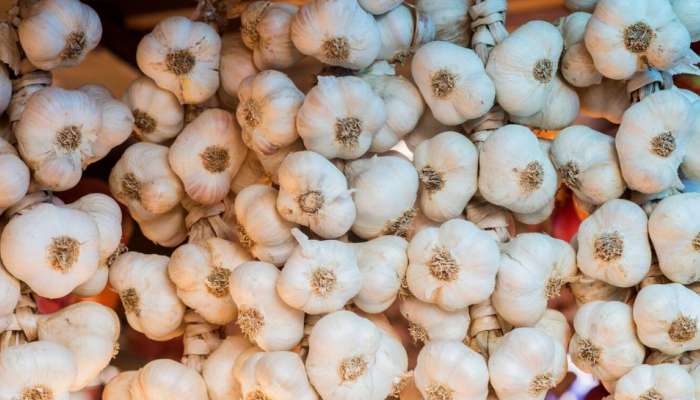 Garlic Price Kerala | കിലോ 300 രൂപയിലേക്ക്  വെളുത്തുള്ളി വില, പൊന്നും വിലക്ക് കാരണം എന്ത്?