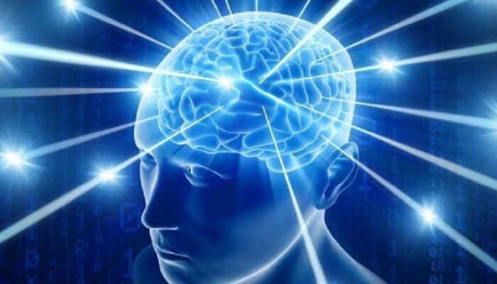 Memory Power: തലച്ചോറിനെ ആരോഗ്യകരവും ആക്റ്റീവുമാക്കണോ..? ഇതാ 5 വഴികൾ