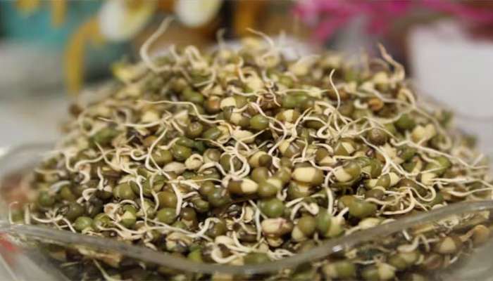 Moong sprouts: ദിവസവും രാവിലെ മുളപ്പിച്ച പയർ കഴിക്കുന്നത് ശീലമാക്കൂ...! ആരോഗ്യ ഗുണങ്ങൾ ഏറെ