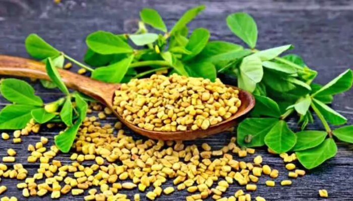 Fenugreek Seeds: ഉലുവയില കഴിക്കാറുണ്ടോ..? എങ്കിൽ ഈ കാര്യങ്ങൾ അറിഞ്ഞിരുന്നോളൂ