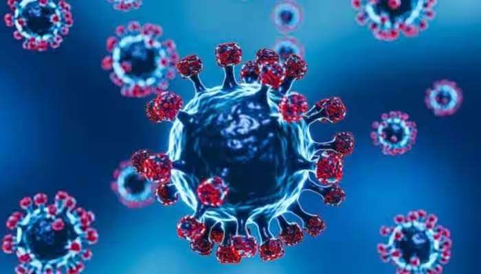 COVID-19 Subvariant JN.1: പുതിയ കോവിഡ് വകഭേദം ആശങ്ക പടര്‍ത്തുമ്പോള്‍ നിങ്ങള്‍ അറിഞ്ഞിരിക്കേണ്ട കാര്യങ്ങള്‍ ഇവയാണ്