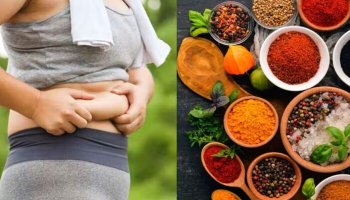 Weightloss Tips: അടിവയറ്റിലെ കൊഴുപ്പ് അലിയിക്കണോ..? അടുക്കളയിലുണ്ട് പരിഹാരം