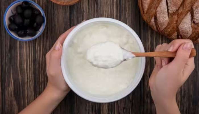 Curd Benefits: ശൈത്യകാലത്ത് തൈര് കഴിക്കാമോ? ഫലം ​ഗുണമോ, ദോഷമോ? അറിയാം