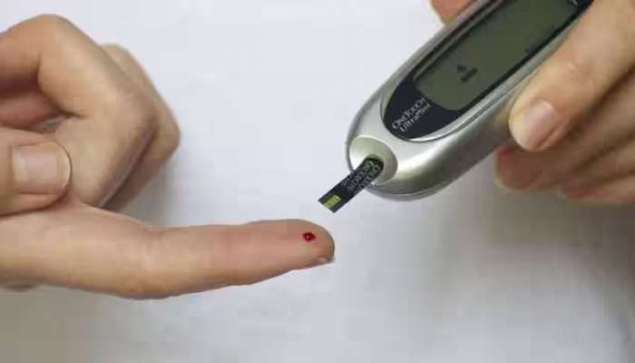 Diabetes: നിങ്ങൾ പ്രമേഹ രോഗിയാണോ? ഇവ പരീക്ഷിച്ച് നോക്കൂ...