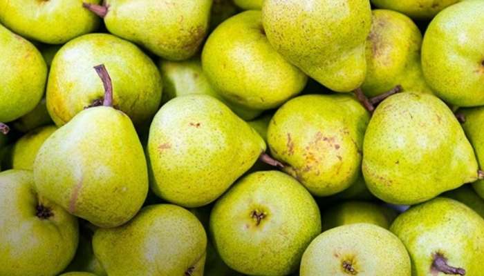 Pear Fruit Benefits: പിയർ പഴം ദിവസവും കഴിക്കാം... നിരവധിയാണ് ​ഗുണങ്ങൾ
