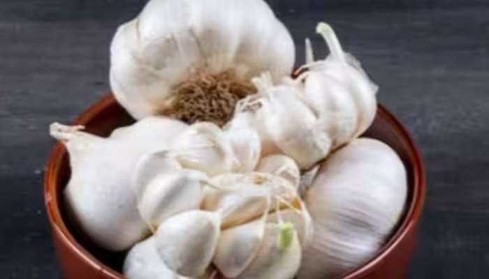 Garlic Health Benefits: ശൈത്യകാലത്ത് വെളുത്തുള്ളി കഴിക്കുന്നത് വിവിധ രോ​ഗങ്ങളെ തടയും; അറിയാം വെളുത്തുള്ളിയുടെ ​ഗുണങ്ങൾ