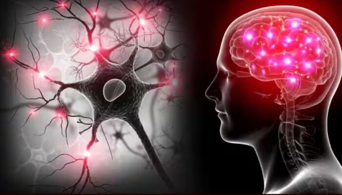 Vitamin Defficiency: വല്ലാത്ത ഉത്കണ്ഠയും ടെൻഷനും ഉണ്ടോ...? ഈ കുറവു കൊണ്ടാവാം..!