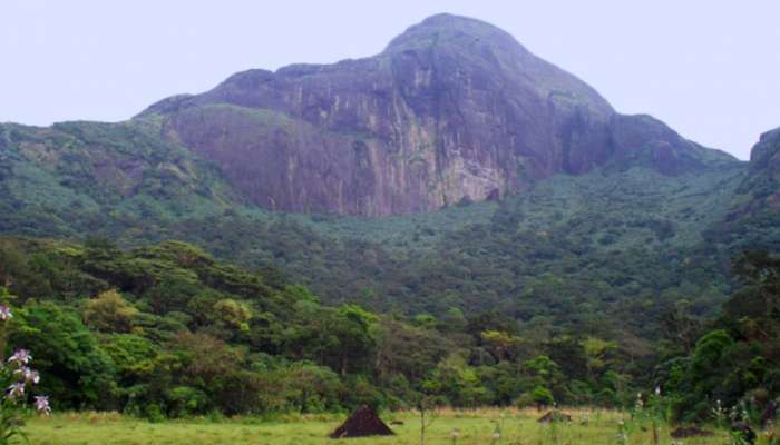 Agasthyarkoodam: കാടറിഞ്ഞ് നടന്ന് ആകാശം തൊട്ടിറങ്ങാം; അ​ഗസ്ത്യകൂടം ട്രക്കിങ്ങിന് ഇന്ന് തുടക്കം