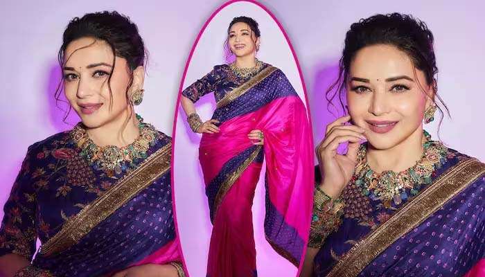 Madhuri Dixit: സൗന്ദര്യത്തിന്‍റെ പ്രതിരൂപമായി മാധുരി ദീക്ഷിത്!! പിങ്ക് സാരിയില്‍ മനം മയക്കും ചിത്രങ്ങള്‍ വൈറല്‍