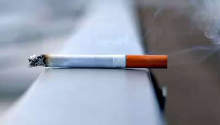 Smoking in Cinema Serial: സിനിമയിൽ കണ്ട് ആരെങ്കിലും പുകവലി തുടങ്ങുമോ? പൊതു താത്പര്യ ഹർജിയിൽ കോടതി