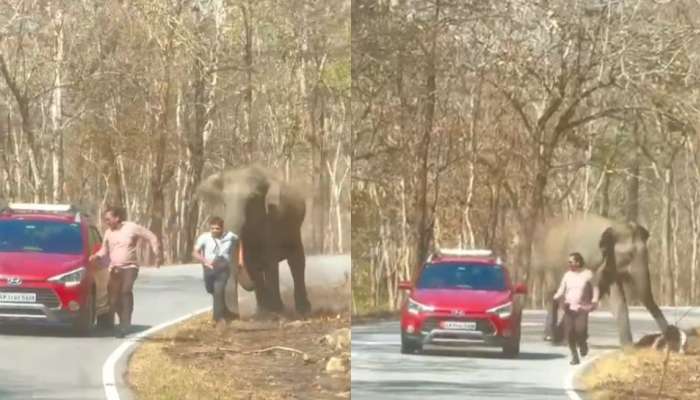 Wild elephant: കാട്ടാനകളുടെ ഫോട്ടോ പകര്‍ത്താന്‍ ശ്രമിച്ച സഞ്ചാരികള്‍ രക്ഷപ്പെട്ടത് തലനാരിഴക്ക്- ഭയപ്പെടുത്തുന്ന വീഡിയോ