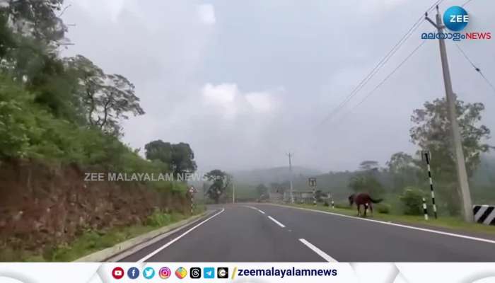 National Highway 66