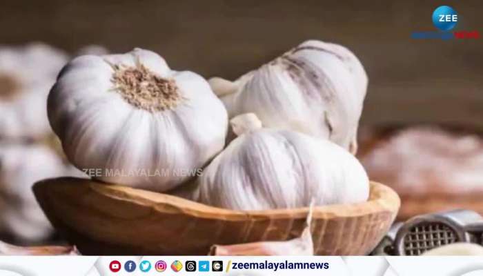 Garlic Price Hike