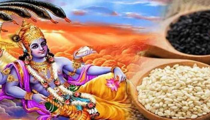 Shattila Ekadashi 2024: ഇന്ന് ഷട്തില ഏകാദശി, ഈ ദിവസം എള്ളിനുണ്ട് പ്രാധാന്യം 