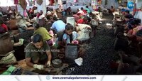Cashew Corporation Chairman said that the state budget has big announcements for the cashew sector