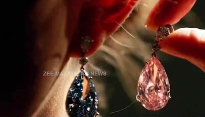 Expensive Earring in World: ലോകത്തിലെ ഏറ്റവും വില കൂടിയ കമ്മൽ ഏതാണെന്ന് അറിയാമോ?