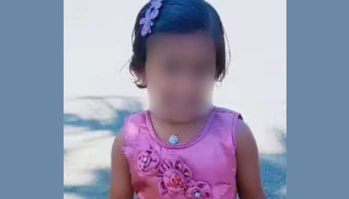 Girl Child Died: ഇടുക്കിയിൽ ഛര്‍ദിയെ തുടര്‍ന്ന് ആശുപത്രിയിലെത്തിച്ച അഞ്ചു വയസുകാരി മരിച്ചു; ഭക്ഷ്യ വിഷബാധയെന്ന് സംശയം