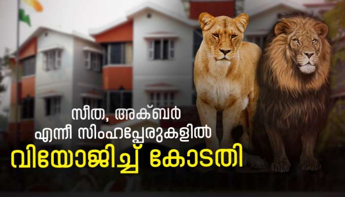 Seeta Lion Name Controversy: സിംഹത്തിനാരെങ്കിലും സീത, അക്ബർ എന്നൊക്കെ പേരിടുമോ..? പേര് മാറ്റാൻ ഉത്തരവിട്ട് കോടതി