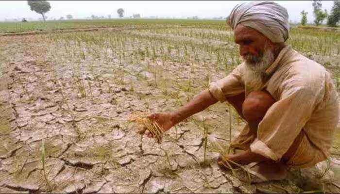 BIG Bonanza To Farmers: കര്‍ഷകര്‍ക്ക് ലോട്ടറി!! 24,400 കോടി രൂപയുടെ വളം സബ്‌സിഡി അനുവദിച്ച് കേന്ദ്രം