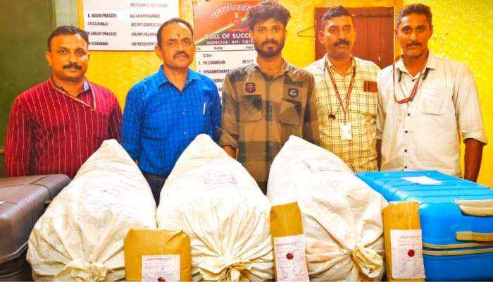 Ganja Seized in Palakkad: റെയിൽവേ സ്റ്റേഷൻ റാമ്പിലൂടെ രണ്ട് ട്രോളി ബാഗുമായി ഒരാൾ; ഒറ്റയടിക്ക് 31 ലക്ഷത്തിൻറെ കഞ്ചാവ്