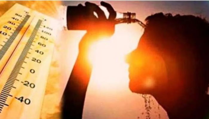 Kerala Weather Update: ഉയർന്ന താപനില മുന്നറിയിപ്പ്; വിവിധ ജില്ലകളിൽ യെല്ലോ അലർട്ട്