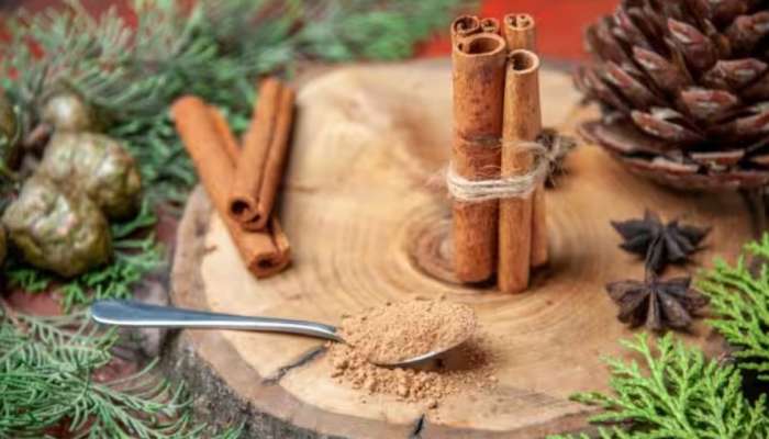 Cinnamon For Women: സ്ത്രീകൾക്ക് കറുവപ്പട്ട മികച്ചത്; ആർത്തവ പ്രശ്നങ്ങൾ മുതൽ ഹൃദയാരോ​ഗ്യം വരെ നിരവധി ​ഗുണങ്ങൾ