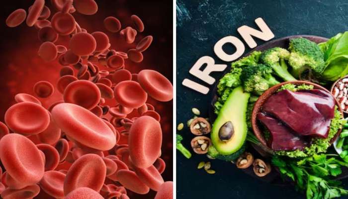 Iron Foods: ശരീരത്തില്‍ ഇരുമ്പിന്‍റെ അളവ് വര്‍ദ്ധിപ്പിക്കും ഈ ഭക്ഷണപദാര്‍ത്ഥങ്ങള്‍ 