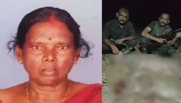 Wild Boar Attack: വയോധികയുടെ കാൽ കടിച്ചുമുറിച്ച കാട്ടുപന്നികളെ വെടിവെച്ചു കൊന്ന് വനം വകുപ്പ്