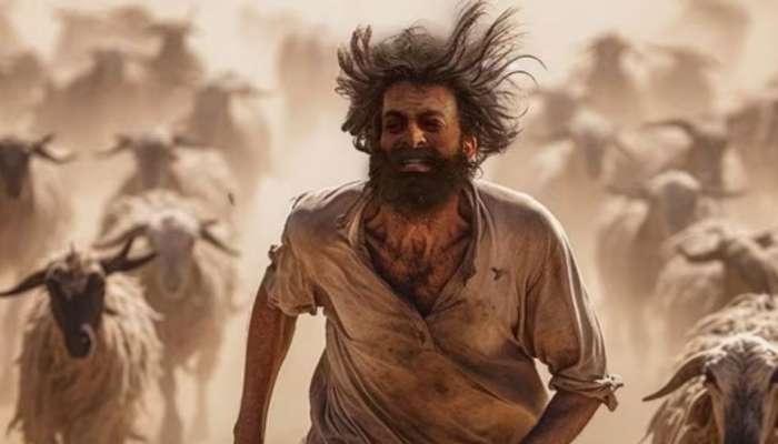 Aadujeevitham Box Office: ആട് ജീവിതം ബോക്സോഫീസ്, മൂന്ന് ദിവസം കൊണ്ട് ചിത്രം നേടിയത്